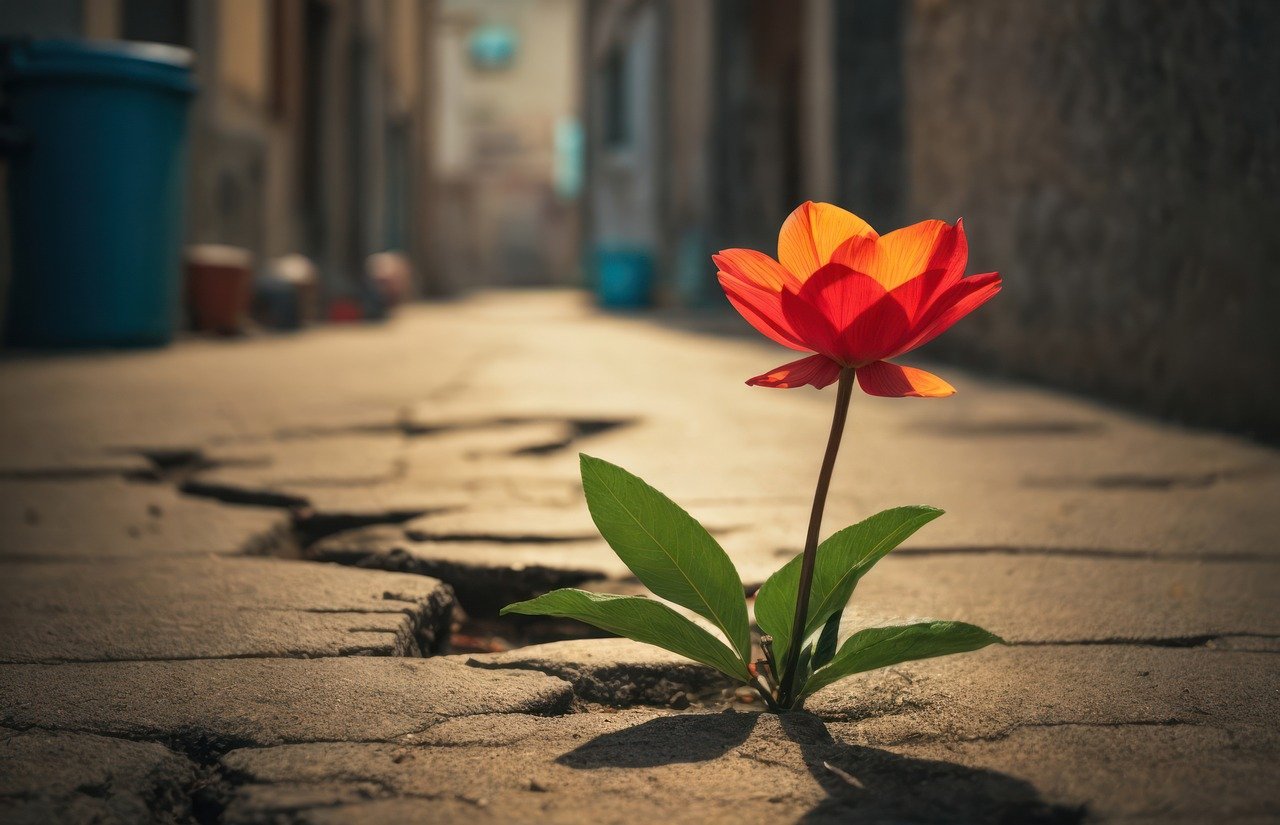 Resilience and Strength: A blooming flower breaking through a crack in the sidewalk, symbolizing growth and strength against all odds